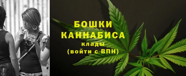 ALPHA-PVP Новозыбков